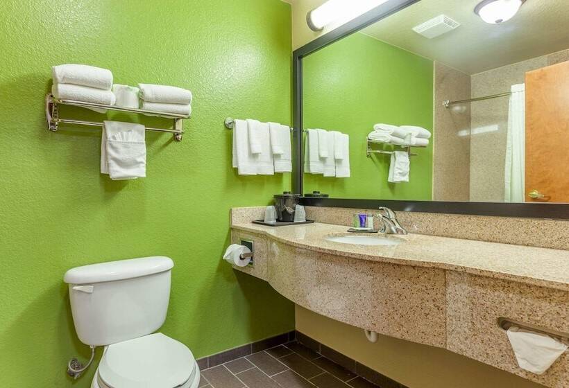 套房, Sleep Inn & Suites Hewitt  South Waco
