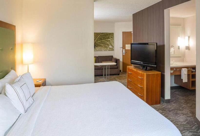 스위트 킹사이즈 침대, Springhill Suites Hampton