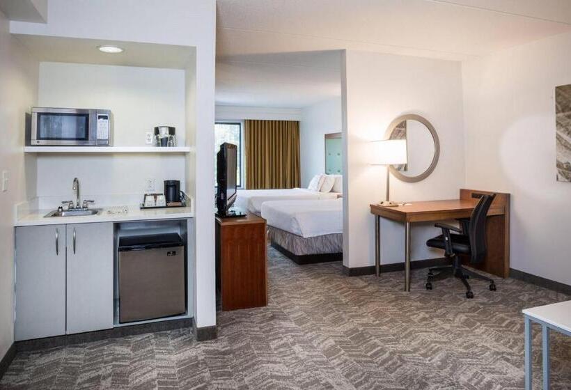 스위트, Springhill Suites Hampton