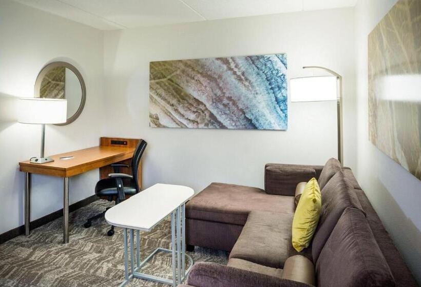 장애인을 위한 스위트, Springhill Suites Hampton