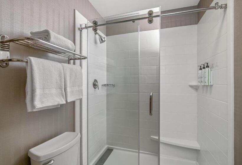 Люкс, Springhill Suites Phoenix Glendale Sports & Entertainment District