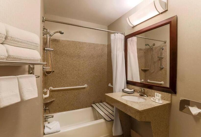 Люкс Адаптированный для Инвалидов, Springhill Suites Phoenix Glendale Sports & Entertainment District