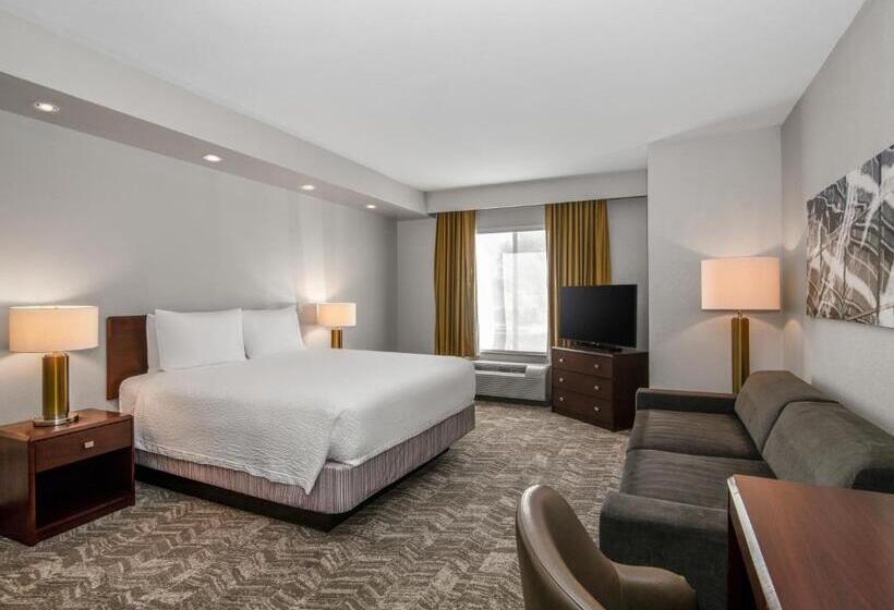 Люкс Адаптированный для Инвалидов, Springhill Suites Phoenix Glendale Sports & Entertainment District