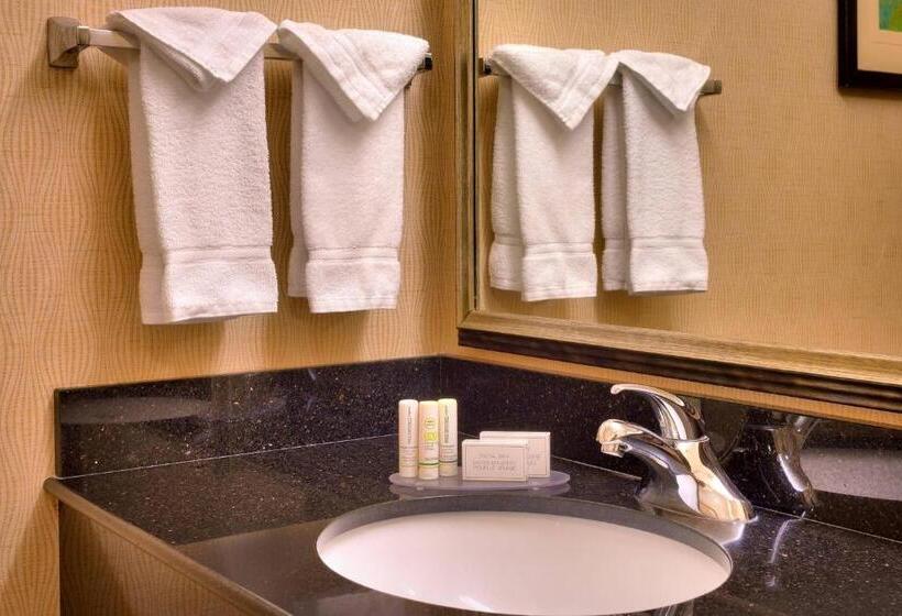 Стандартный Номер Кровать Кинг, Fairfield Inn & Suites Boise Nampa