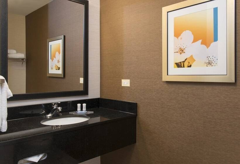 스탠다드 룸 더블 침대 2개, Fairfield Inn And Suites By Marriott Chicago St. Charles