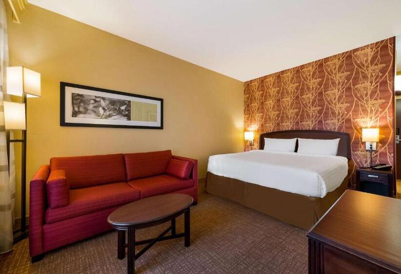 스탠다드 룸 킹사이즈 침대, Sonesta Select Detroit Novi