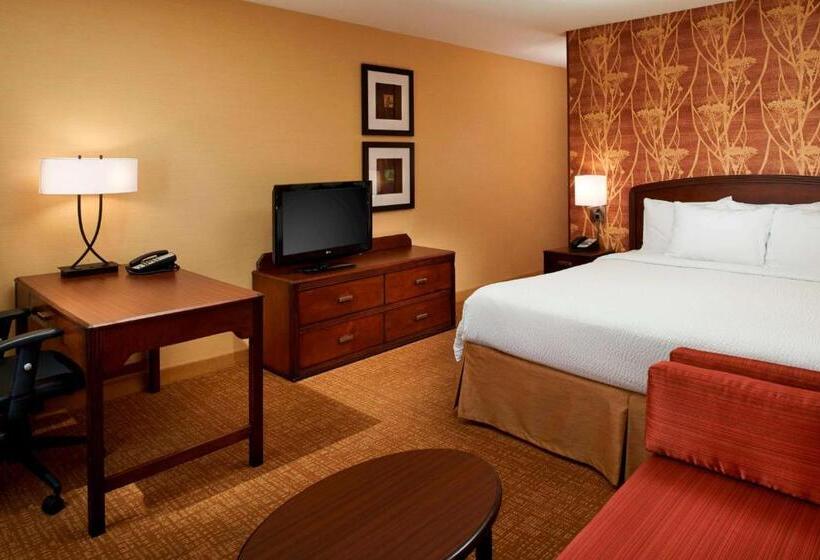 스탠다드 룸 킹사이즈 침대, Sonesta Select Detroit Novi
