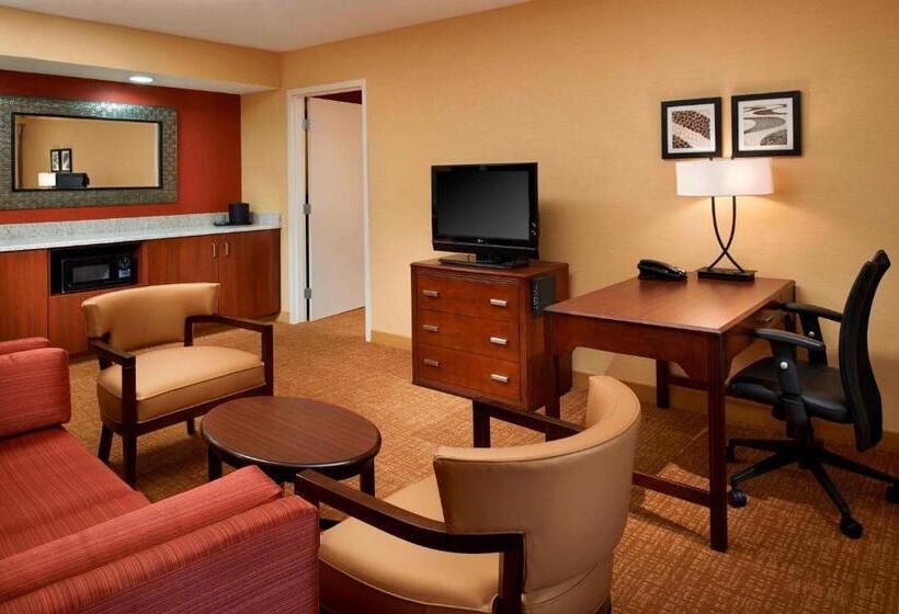 스위트 킹사이즈 침대, Sonesta Select Detroit Novi
