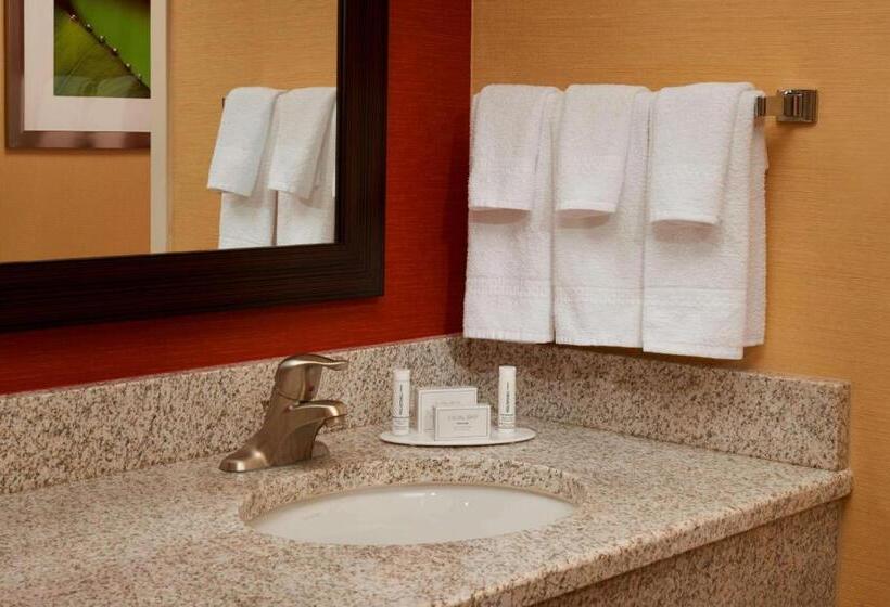 스위트, Sonesta Select Detroit Novi