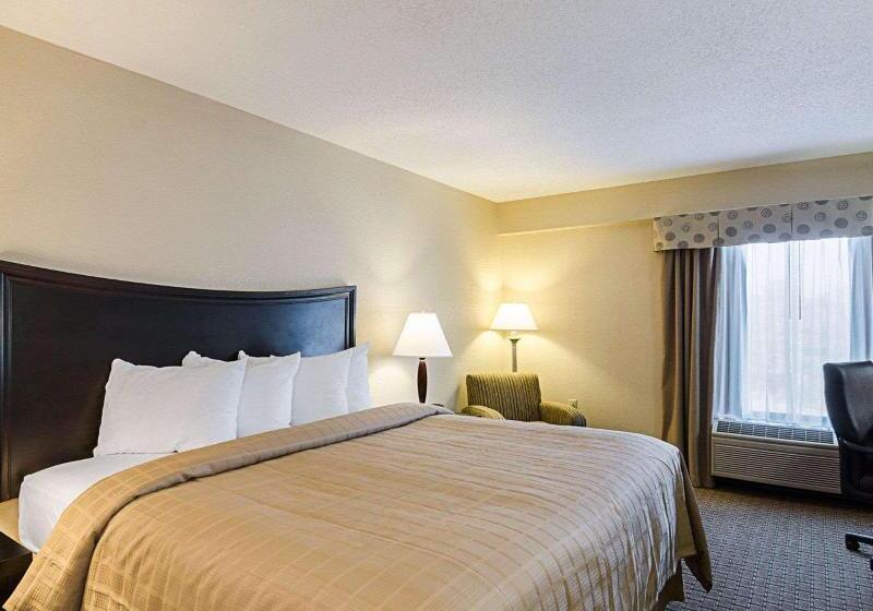 스탠다드 룸 킹사이즈 침대, Quality Inn Troutville  Roanoke North