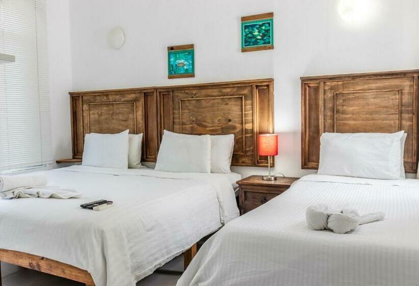Studio Standard, Apart Hotel Casaejido