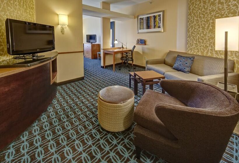 Студия Стандарт, Fairfield Inn And Suites By Marriott Weatherford