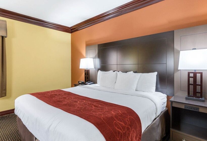 Люкс, Comfort Suites Lake Jackson Clute
