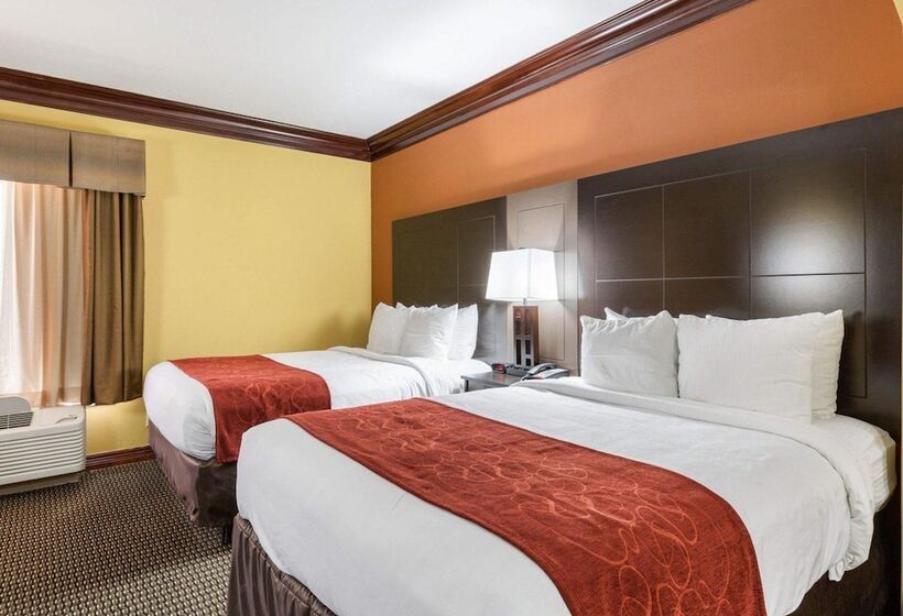 Люкс, Comfort Suites Lake Jackson Clute
