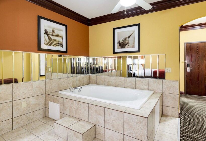 Люкс, Comfort Suites Lake Jackson Clute