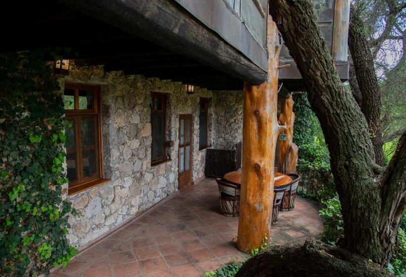 اتاق استاندارد با 2 تخت دوبل, Nirvana Restaurant & Retreat