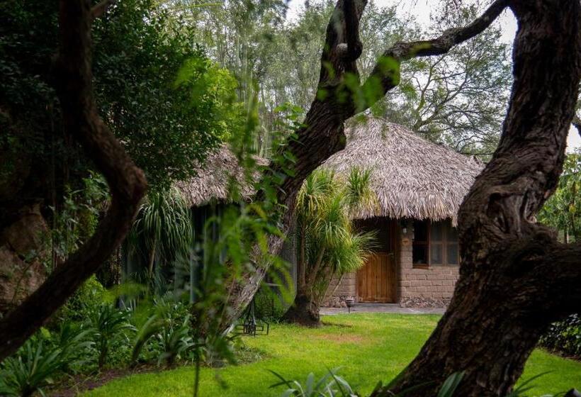 سوییت جونیور, Nirvana Restaurant & Retreat