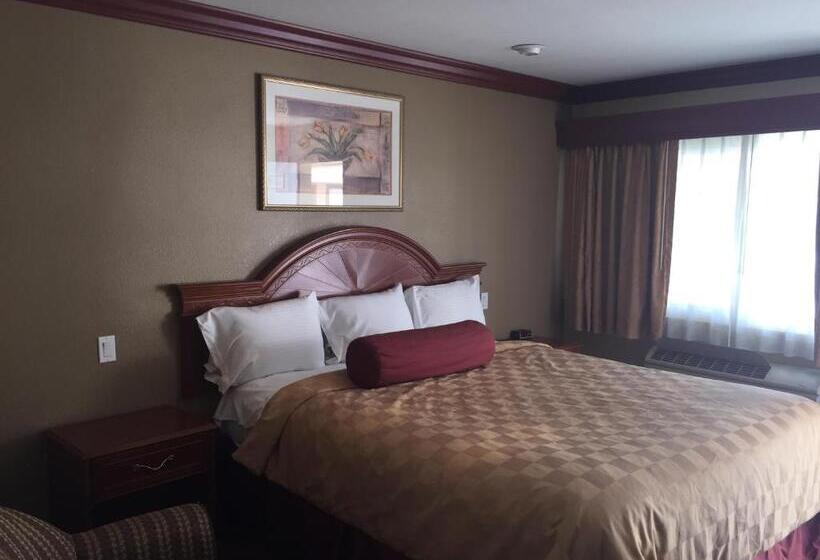 스탠다드 룸 킹사이즈 침대, Thunderbird Lodge