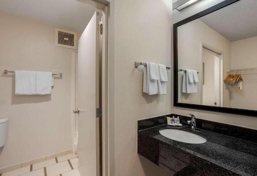 ２ダブルベッドのスタンダードルーム, Comfort Inn & Suites Mt. Laurelphiladelphia