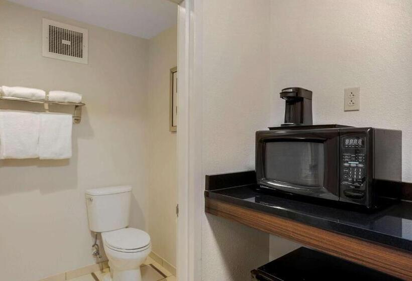 キングサイズベッドのスイートルーム, Comfort Inn & Suites Mt. Laurelphiladelphia