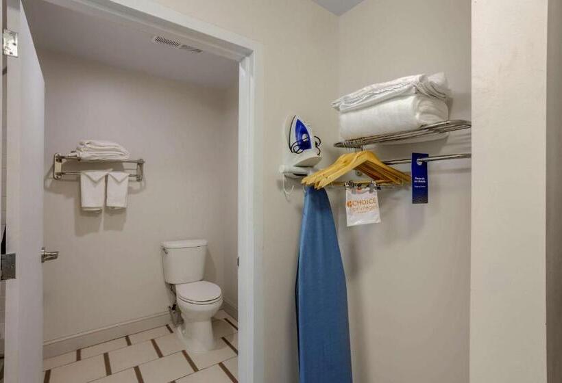 Люкс Кровать Кинг, Comfort Inn & Suites Mt. Laurelphiladelphia