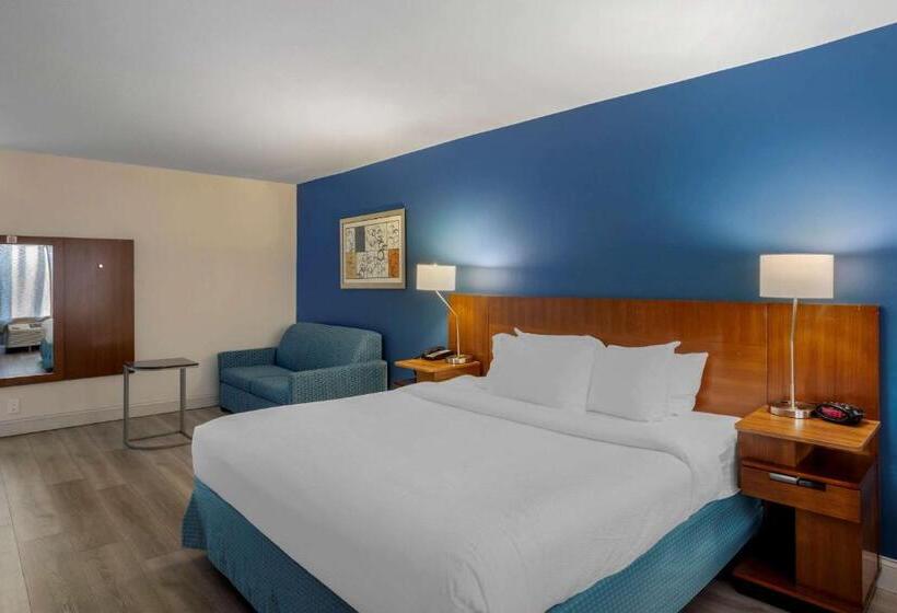 身障者適用キングサイズベッドルーム, Comfort Inn & Suites Mt. Laurelphiladelphia