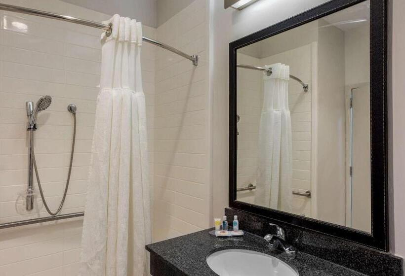 身障者適用キングサイズベッドルーム, Comfort Inn & Suites Mt. Laurelphiladelphia