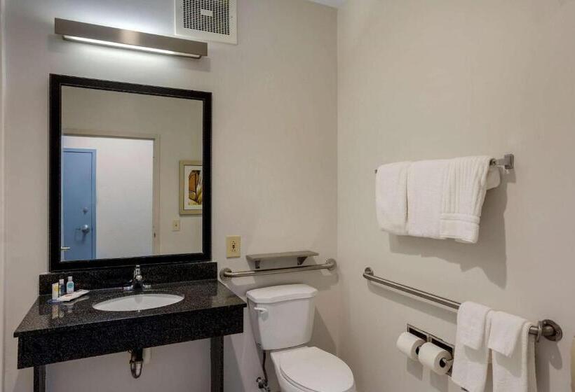 Люкс Адаптированный для Инвалидов, Comfort Inn & Suites Mt. Laurelphiladelphia