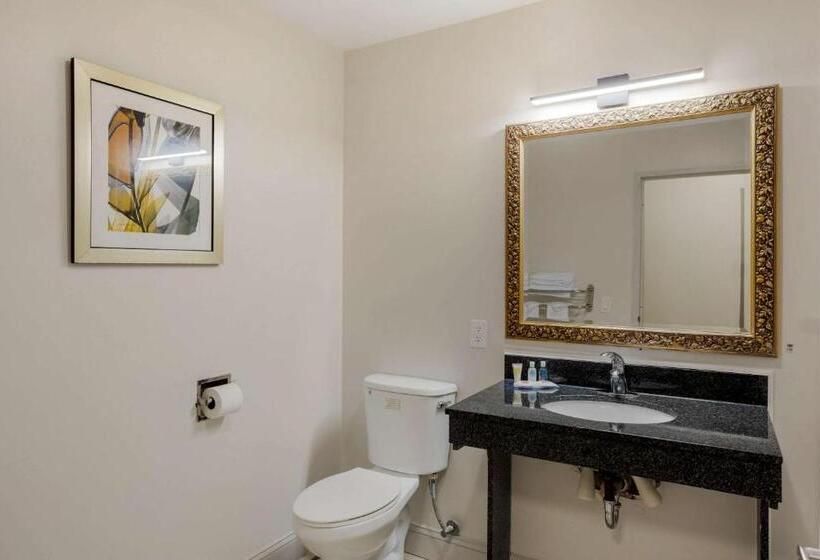 Люкс Адаптированный для Инвалидов, Comfort Inn & Suites Mt. Laurelphiladelphia