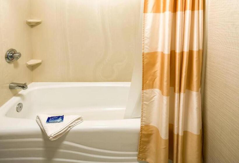장애인을 위한 스탠다드 룸, Fairfield Inn & Suites Jacksonville Airport