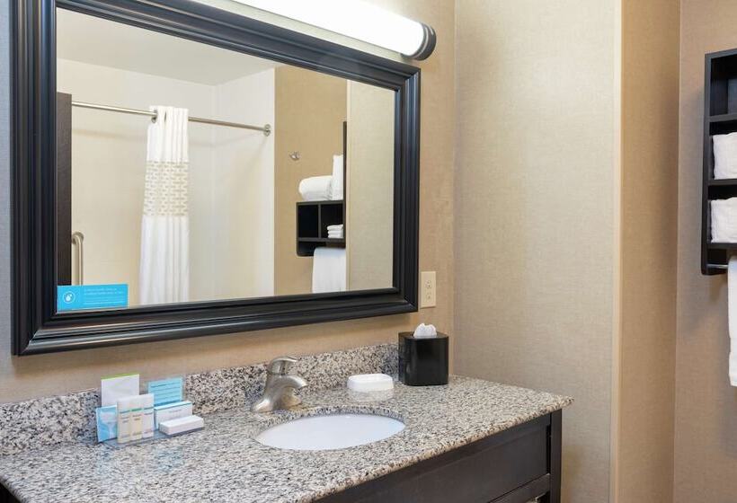 Номер Стандарт, Hampton Inn & Suites Saginaw