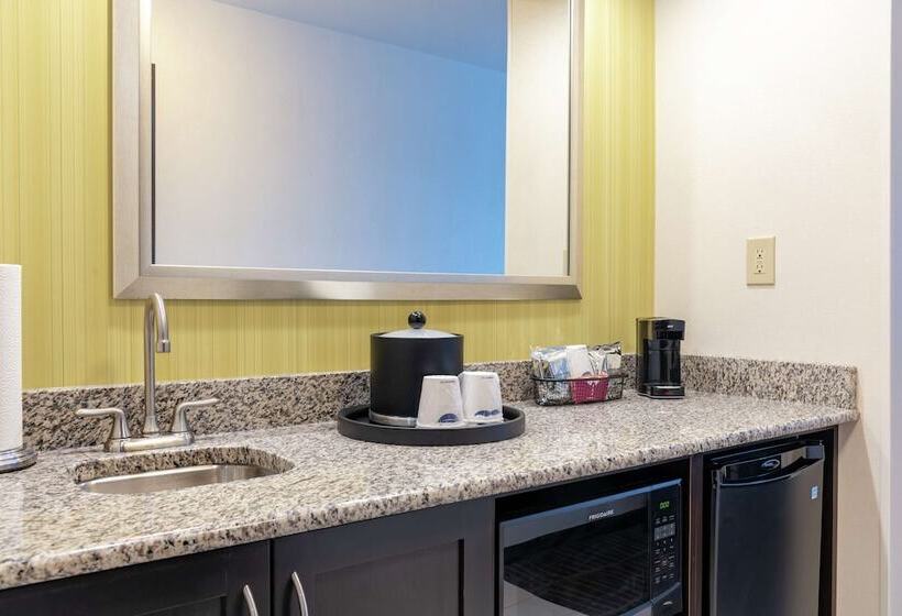 Люкс, Hampton Inn & Suites Saginaw