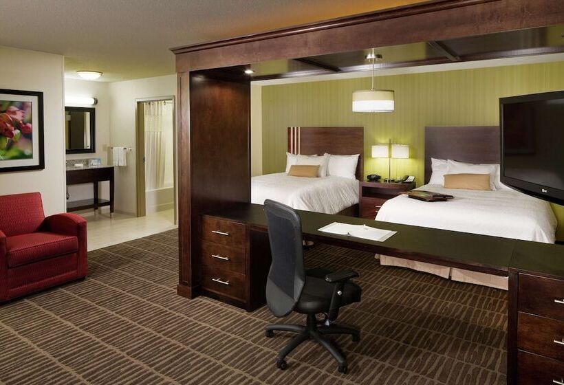 Люкс, Hampton Inn & Suites Saginaw