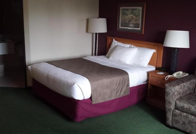 استودیوی استاندارد, Americinn By Wyndham Madison Sd