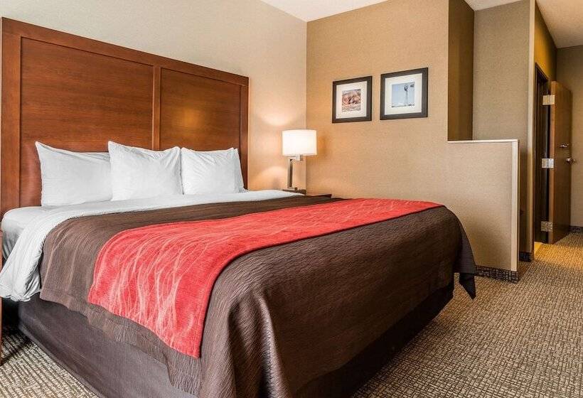 Люкс Адаптированный для Инвалидов, Comfort Inn & Suites