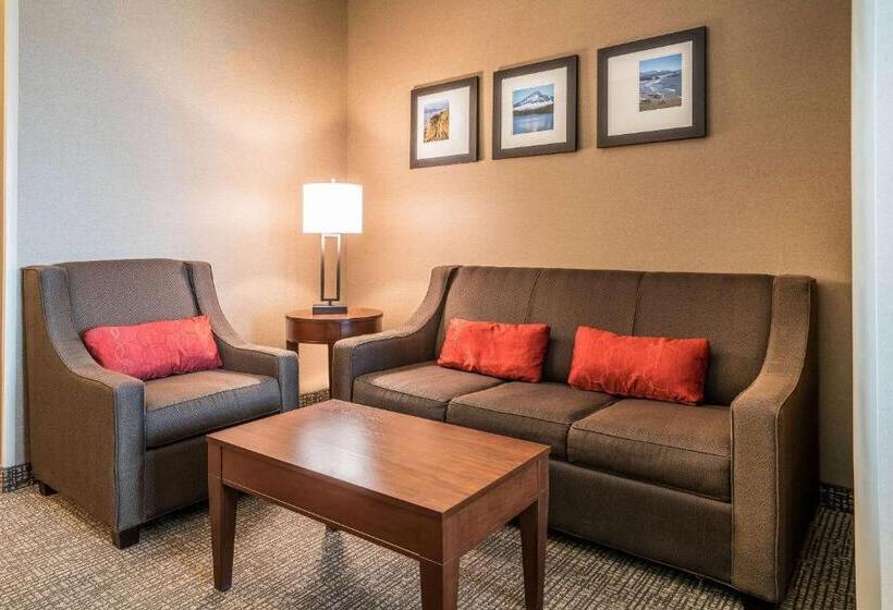 Люкс Кровать Кинг, Comfort Inn & Suites