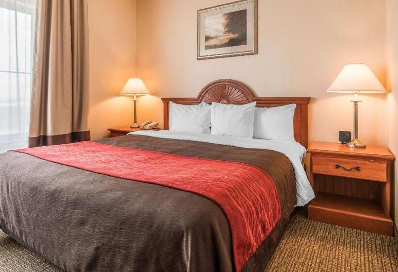 Family Suite, Comfort Inn & Suites