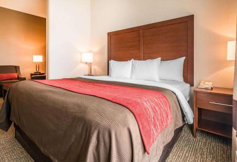 Люкс Адаптированный для Инвалидов, Comfort Inn & Suites