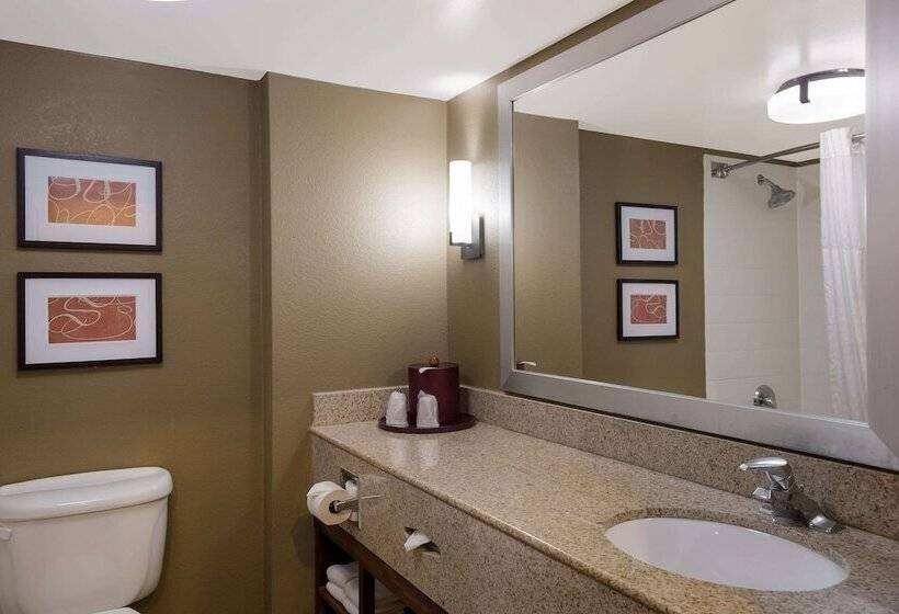 Люкс, Comfort Suites Near University