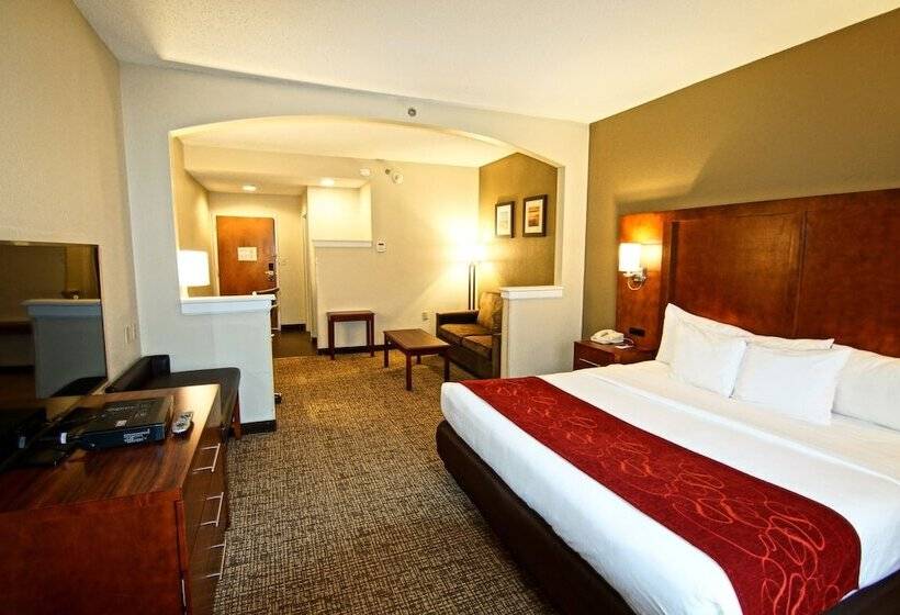Люкс, Comfort Suites Near University