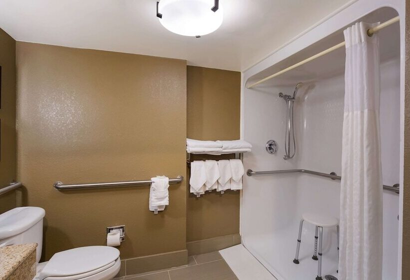 Люкс Адаптированный для Инвалидов, Comfort Suites Near University