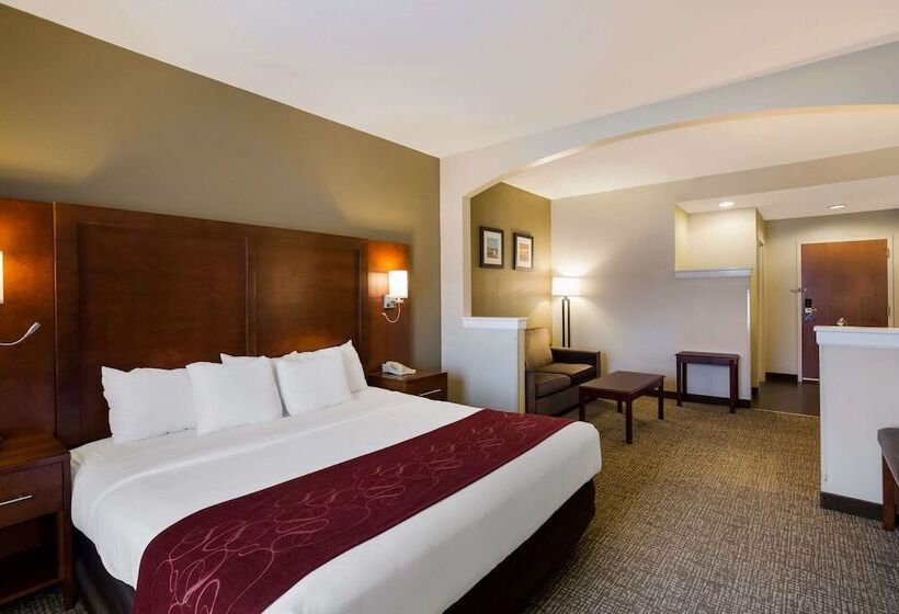 Люкс Адаптированный для Инвалидов, Comfort Suites Near University