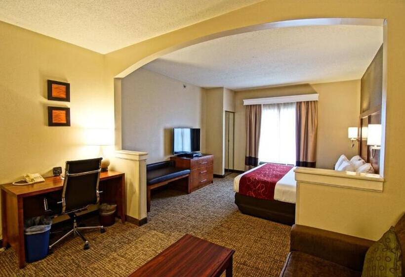 Люкс Кровать Кинг, Comfort Suites Near University