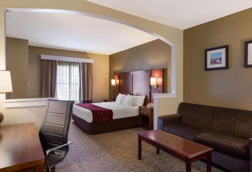 Люкс Кровать Кинг, Comfort Suites Near University