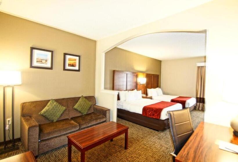 Люкс, Comfort Suites Near University