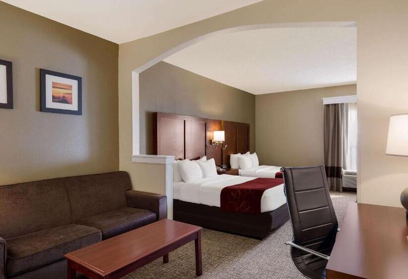 Люкс, Comfort Suites Near University