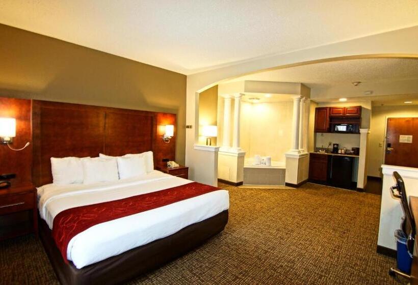 Люкс Кровать Кинг, Comfort Suites Near University