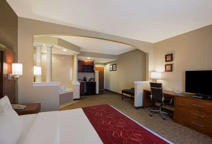 Люкс, Comfort Suites Near University