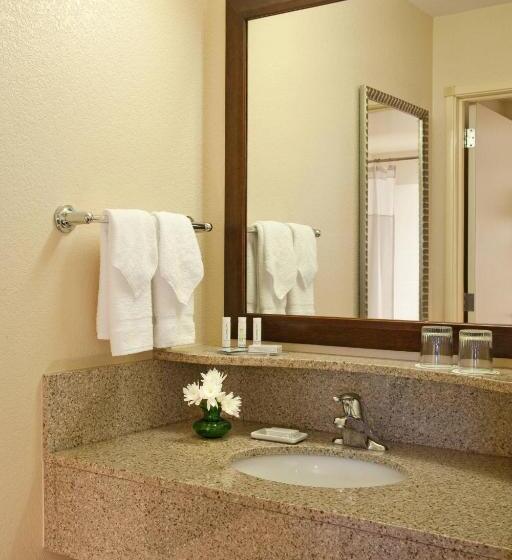 سوئیت با تخت بزرگ, Springhill Suites By Marriott Medford