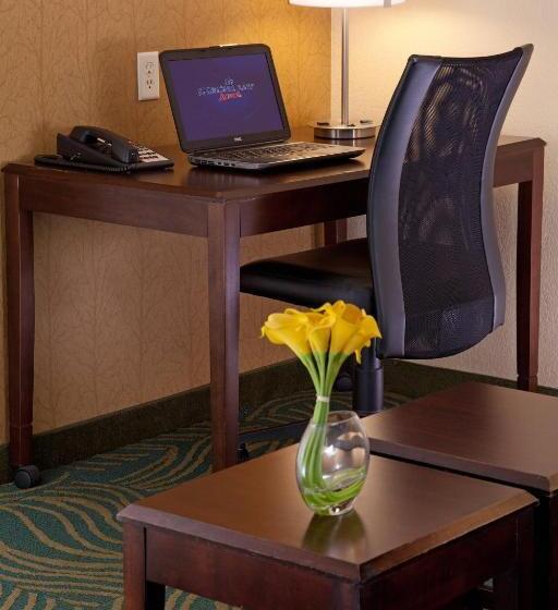 سوئیت با تخت بزرگ, Springhill Suites By Marriott Medford